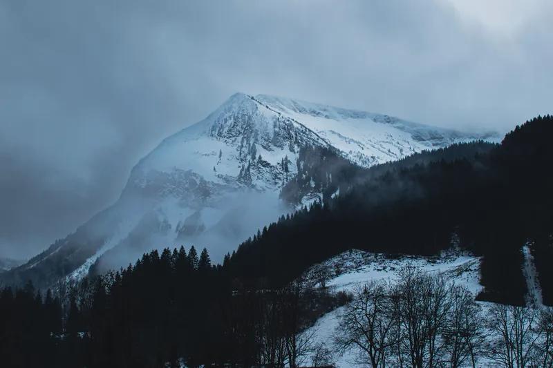 La brume Alpine comme un paysage mis sur pause 