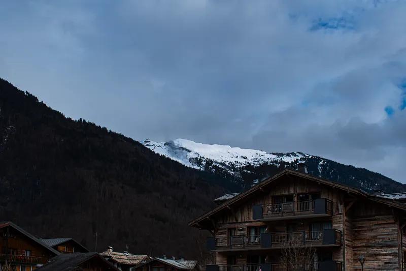 Le réveille montagneux 